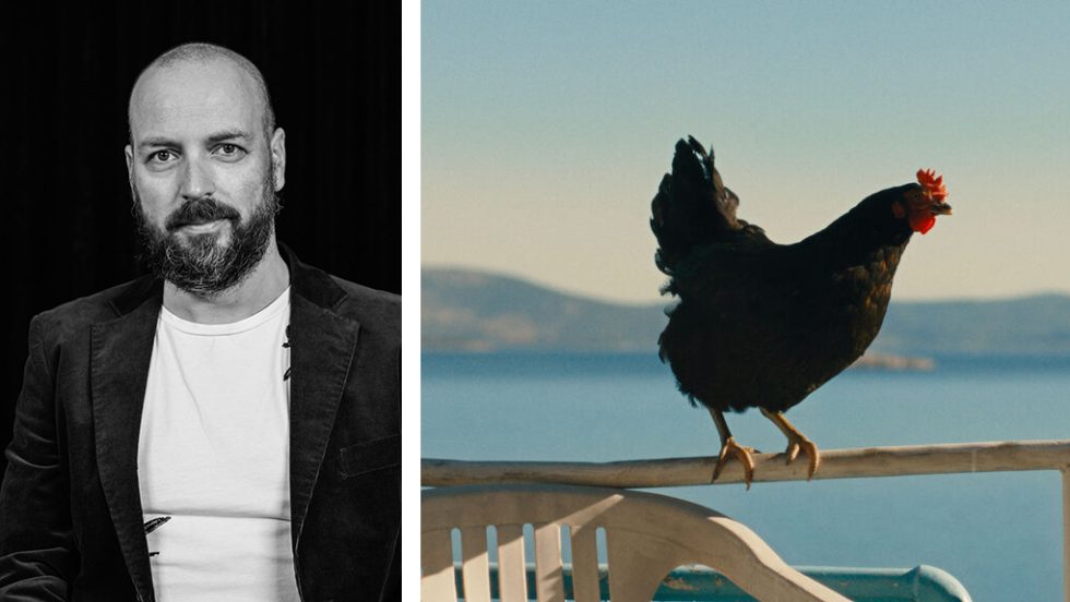 gyorgi palfi - hen - kota